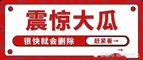 娱乐圈吃瓜文件大全,吃瓜文件大全深度解读